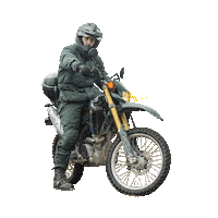 Moto Seguridad Sticker by Academia Prefortia
