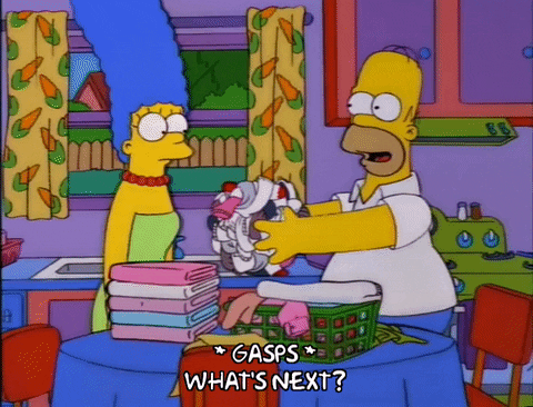 homer simpson episode 3 GIF