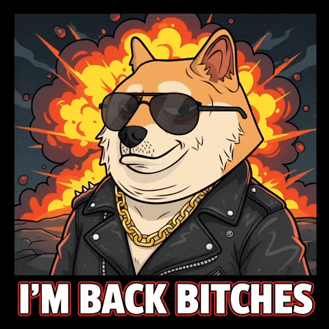 Shiba Inu Illustration GIF by Doge Pound