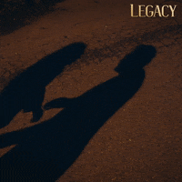 Legacy Emanet GIF by Eccho Rights