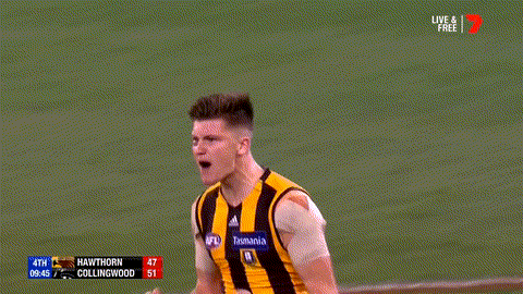 Aussie Rules Reaction GIF by AFL