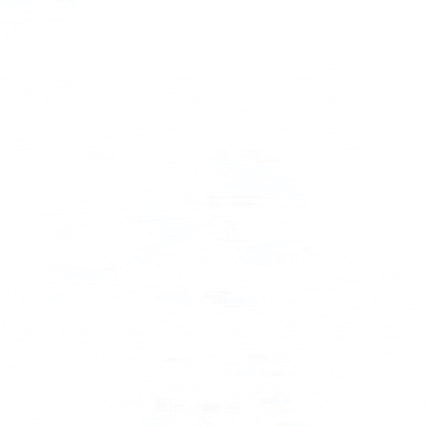 konstantinvsedegov giphygifmaker GIF