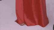 cfda red carpet cfda awards 2019 GIF