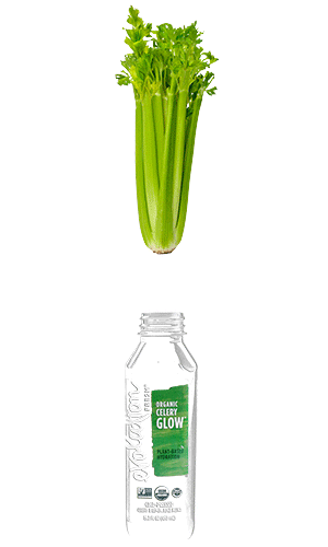 EvolutionFresh giphyupload giphystickerchannel drink healthy Sticker