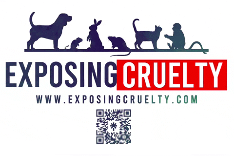 exposingcruelty giphyattribution cruelty exposing end animal testing GIF