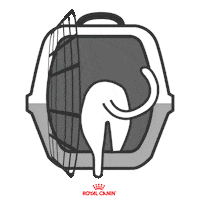 Vet Veterinario Sticker by Royal Canin Brasil