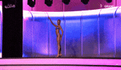 Mgi All Stars GIF