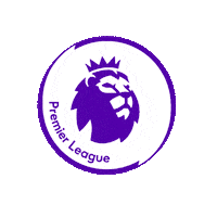 Premier League Football Sticker