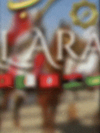 Saudi Arabia Arab GIF