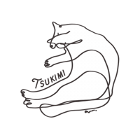 Cat Sticker