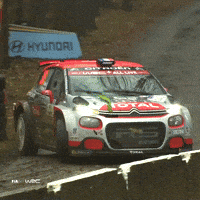 Never Give Up Sport GIF by FIA World Rally Championship