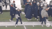Regular Season Football GIF by NFL