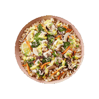 Lunch Bowl Sticker by Foodtastic