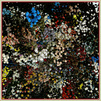 loop render GIF by xponentialdesign