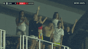 Lets Go Win GIF by National Women's Soccer League