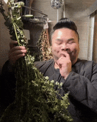 Asian Self Care GIF