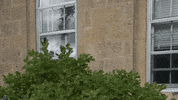 bascom hill surprise GIF by uwmadison