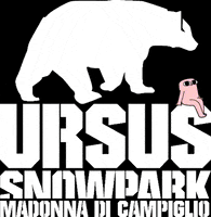 UrsusSnowpark snowboard snowboarding freeski snowpark GIF