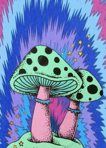 giphy.gif