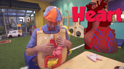 Fun Blippi GIF by Moonbug