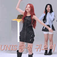 Proud K Pop GIF