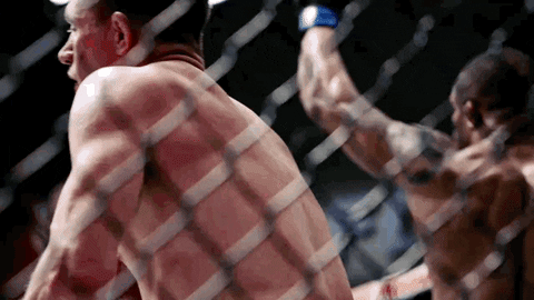 the ultimate fighter tuf 25 GIF