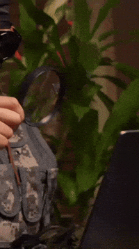 Молодец GIF