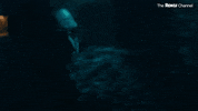 Scared James Ransone GIF by The Roku Channel