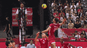 Power Joy GIF by Volleyball World