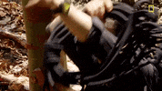 Zachary Quinto Panama GIF by National Geographic Channel