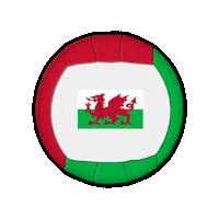Ball Europe Sticker by Swiss Dodgeball