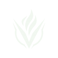 Logo Sticker by Vigor Labs