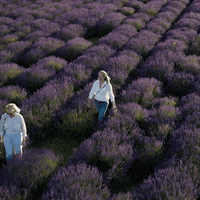 Water Love GIF by falconfilmovenovinky