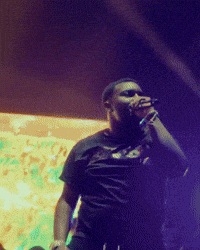 Rolling Loud GIF by Respective