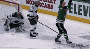ice hockey sport GIF by NHL