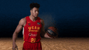 Sport Basket GIF by UCAM Universidad