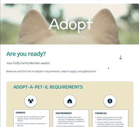 tayloroen7 giphygifmaker GIF