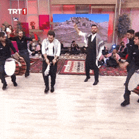 Happy Dance GIF by TRT