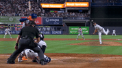 Yankees Goodcatch GIF by YES Network