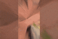 Real Estate Drone GIF by Aerial Canvas