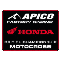 Honda Racing Sticker by ApicoFactoryRacing