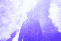 Concert Fans GIF