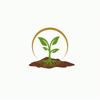 Fmx GIF by Tratto Agro