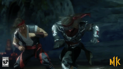 liu kang beatdown GIF by Mortal Kombat 11