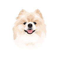 Dog Sticker by Pickle's Pawtraits