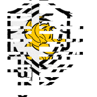 ucfcyber black yellow college university Sticker