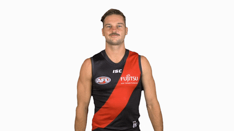 essendonfc giphyupload patrick dons bombers GIF