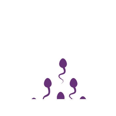 Ttc Sperm Sticker by New Hope Fertility Center