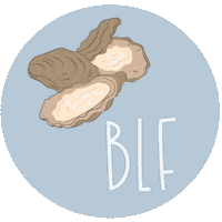 National Oyster Day Sticker by Elle Michele Photo