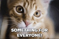 cat man GIF by Stoneham Press